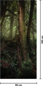 Fototapeta na drzwi - Tajemniczy las (95x205cm)