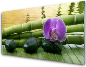 Panel Kuchenny Harmonijny Bambus I Kwiaty