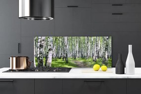 Panel Kuchenny Ścieżka Przez Słoneczny Las