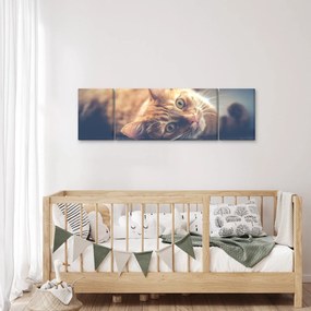 Obraz kota na podłodze (170x50 cm)