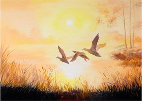 Obraz na szkle - Żurawie o zachodzie słońca (70x50 cm)