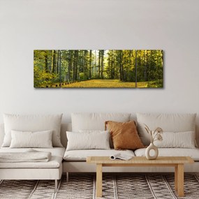 Obraz - las jesienią (170x50 cm)