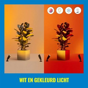 Inteligentna lampa zewnętrzna LED 5 W Ground Spot Starter Kit – WiZ