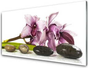 Panel Szklany Harmonijna Roślina i Kamienie