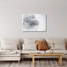 Obraz na szkle kwiatów w odcieniach szarości (70x50 cm)