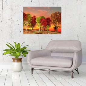 Obraz - Kolorowe drzewa (70x50 cm)