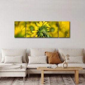 Obraz słonecznika (170x50 cm)