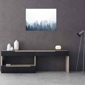 Obraz na szkle - Mglisty las (70x50 cm)