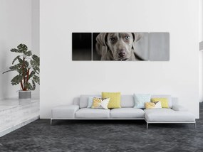 Obraz szczeniaka (170x50 cm)
