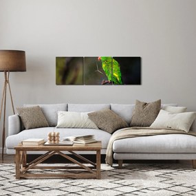 Obraz papugi na gałęzi (z zegarem) (90x30 cm)