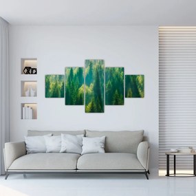 Obraz - Las sosnowy (125x70 cm)