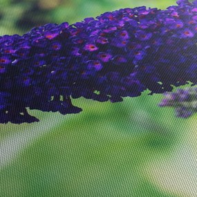 Obraz niebieskiego kwiatu (z zegarem) (90x30 cm)