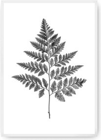 Plakat Fern Grey