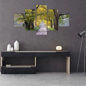 Zdjęcie - Smoky Mountains, Gatlinburg, USA (125x70 cm)