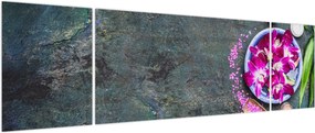 Obraz - Wellness (170x50 cm)