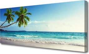 Obraz drukowany na płótnie Tropikalna Palma na Wybrzeżu