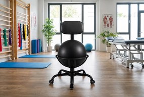 Krzesło ergonomiczne z piłką BIO-VITA, krzesło do aktywnego siedzenia przy biurku, kolor czarny