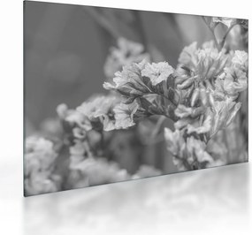 Obraz na szkle - Suszone kwiaty (70x50 cm)