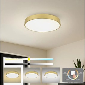 Brilagi - Oprawa sufitowa LED POOL 60W/230V 3000/4500/6000K śr. 60 cm złota