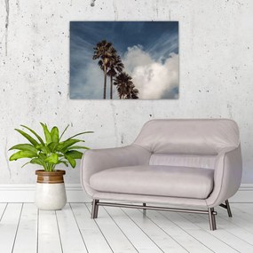 Obraz - Palmowy dramat (70x50 cm)