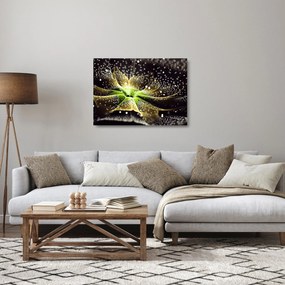 Obraz na szkle - Szczegół kwiatu (70x50 cm)