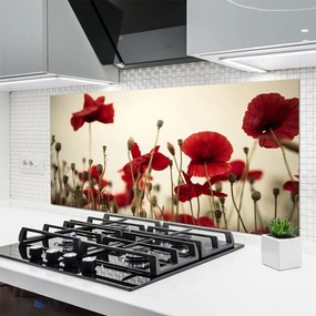 Panel Kuchenny Polne Maki W Rozkwicie