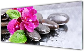 Panel Szklany Egzotyczny Storczyk W Detalu