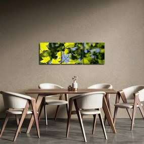 Obraz - liście klonu (z zegarem) (90x30 cm)