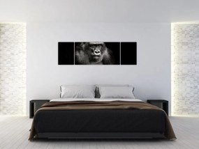 Obraz - Goryl (170x50 cm)