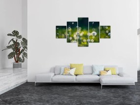 Obraz - Trawa (125x70 cm)