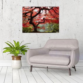 Obraz na szkle czerwonego klonu japońskiego, Portland, Oregon (70x50 cm)