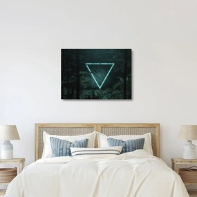Obraz na szkle - Neonowy trójkąt w dżungli (70x50 cm)