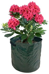Worek do uprawy 2 szt. – Garden Pleasure