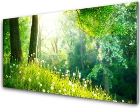 Dekor Szklany do Kuchni Sielska Zielona Łąka