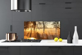 Panel Kuchenny Leśna Gęstwina Drzew