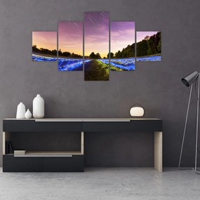 Obraz kolorowego pola (125x70 cm)