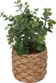 Sztuczny eukaliptus JAYE w ceramicznej doniczce, wys. 27 cm