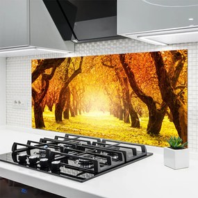 Panel Szklany Las Ścieżka Drzewa Natura