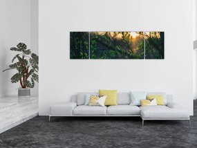 Obraz słońca przeświecającego przez gałęzie drzew (170x50 cm)