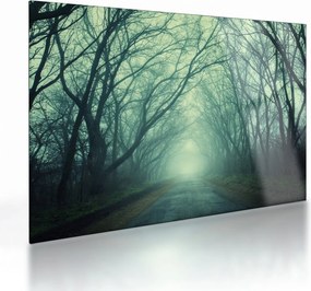 Obraz na szkle - Droga z aleją drzew (70x50 cm)