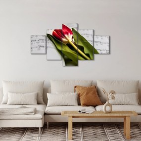 Obraz czerwonego tulipana (125x70 cm)