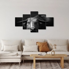 Obraz - Krowa (125x70 cm)