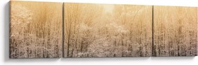 Obraz mroźnego lasu (170x50 cm)