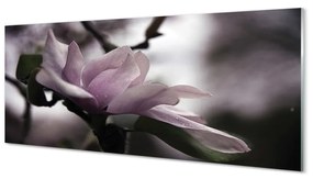 Szklany Panel Magnolia