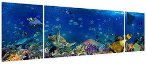 Obraz - Ocean (170x50 cm)