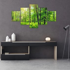 Obraz - Wiosenny las liściasty (125x70 cm)