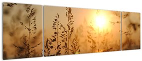 Obraz wschodu słońca (170x50 cm)