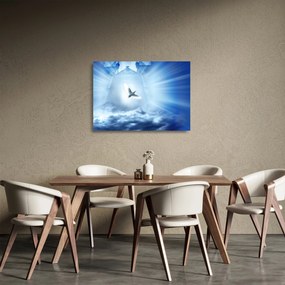 Obraz na szkle - Boska gołębica (70x50 cm)