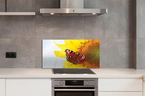 Panel Szklany Motyl na tle Słonecznika