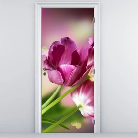 Fototapeta na drzwi - Różowe tulipany (95x205cm)